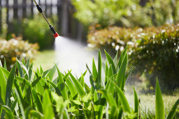 Tamper-Resistant Bait Stations for Rodents in Welch
