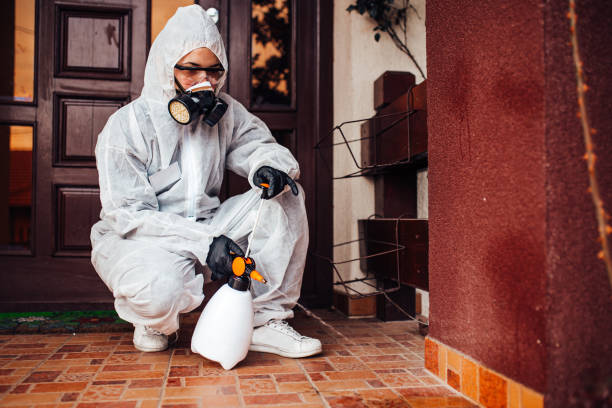 Attic and Crawl Space Rodent Treatment in Welch